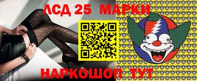 гидропоника Кингисепп