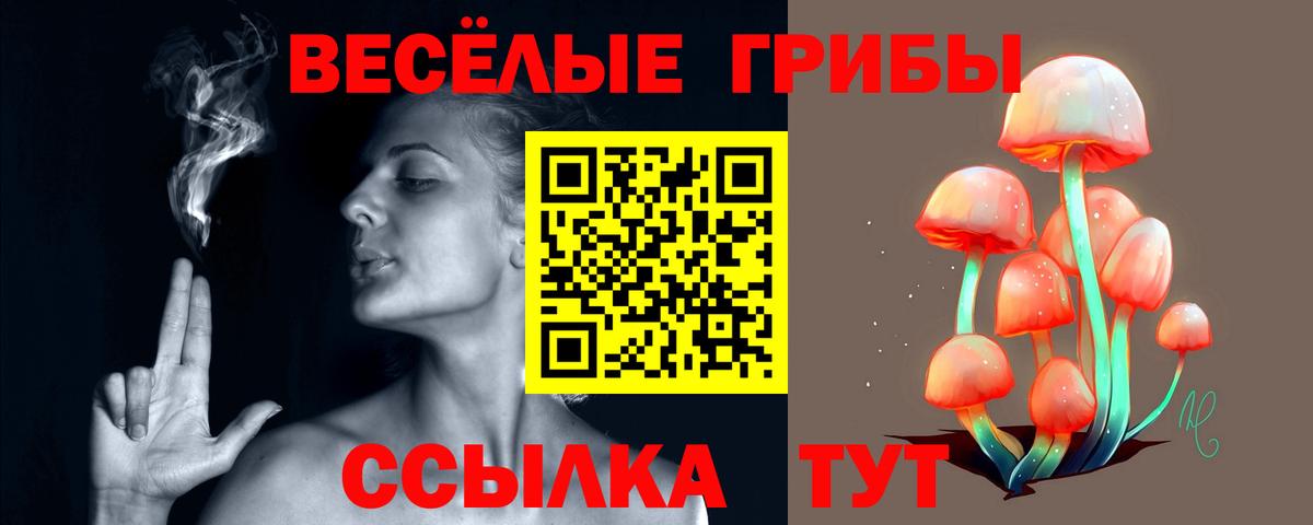 Псилоцибиновые грибы мицелий Конаково